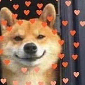 Meet your Posher, Mya